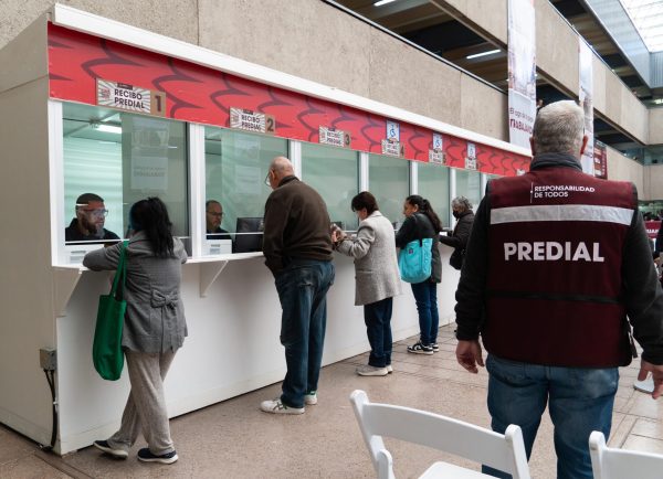 WhatsApp Image 2025-01-15 at 11.11.40 AM